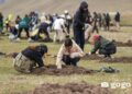Нийслэлд хагас жилд 749 мянган мод тарьж, 199.7 га талбайг нөхөн сэргээжээ