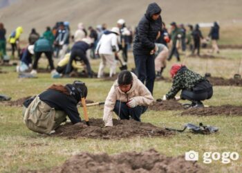 Нийслэлд хагас жилд 749 мянган мод тарьж, 199.7 га талбайг нөхөн сэргээжээ